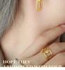 Light Luxury Geometric Gold-Plated U-Shaped Earrings