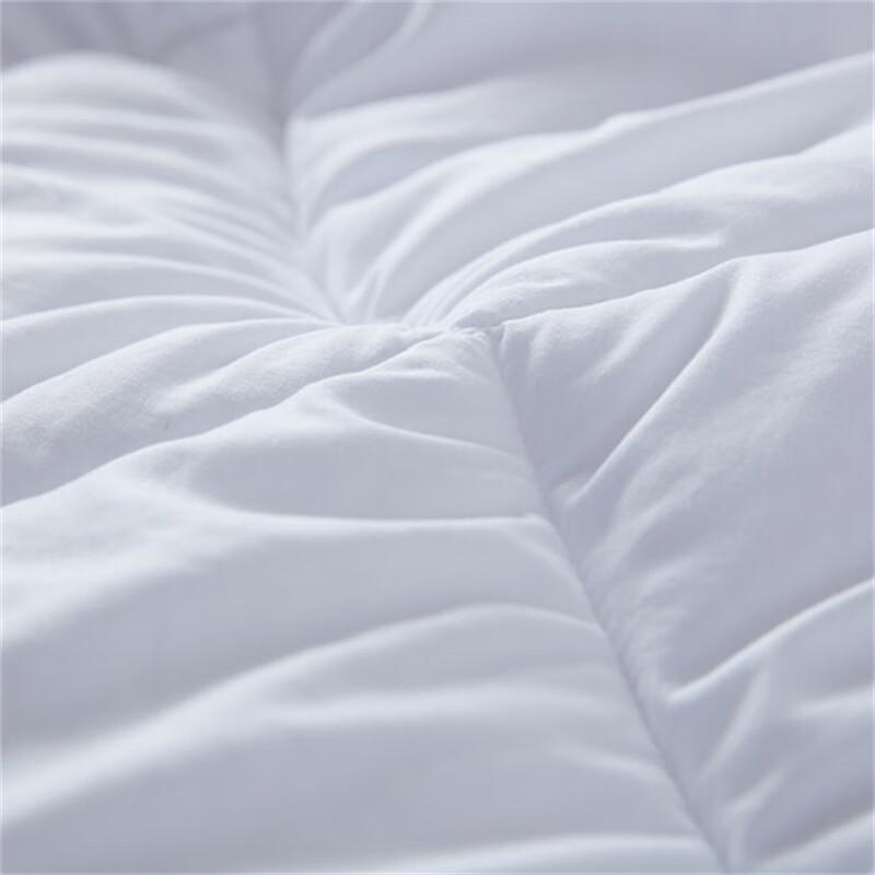 Mengjie All-Season Two-in-One Polyester Duvet