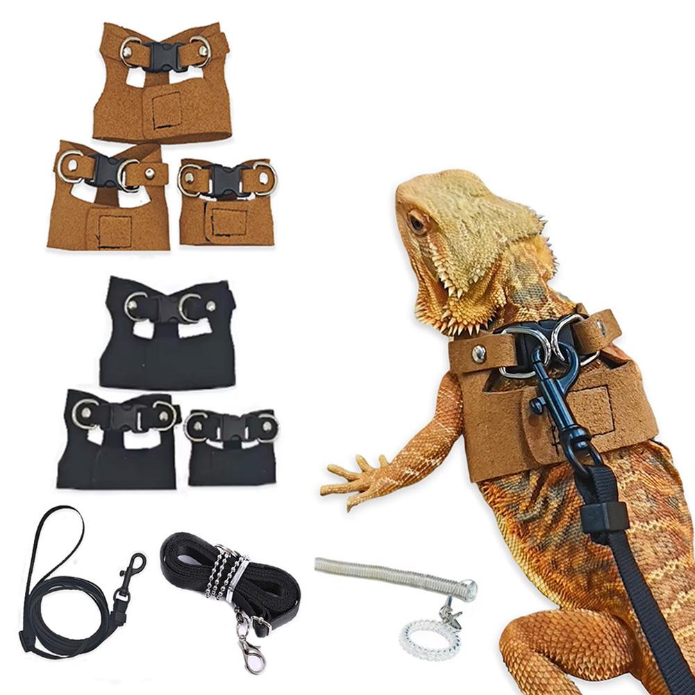 Abnehmbares Geschirr mit Leine für Echsen, Eichhörnchen, Reptilien, Brustgurt zum Spazierengehen für Bartagamen, Chamäleons, Frettchen