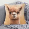 1pc, Double-Sided Printed, Featuring a Cute Alpaca Design with Big Eyes And Fluffy, Perfect for Farmhouse Style Home Decor, Without Filling