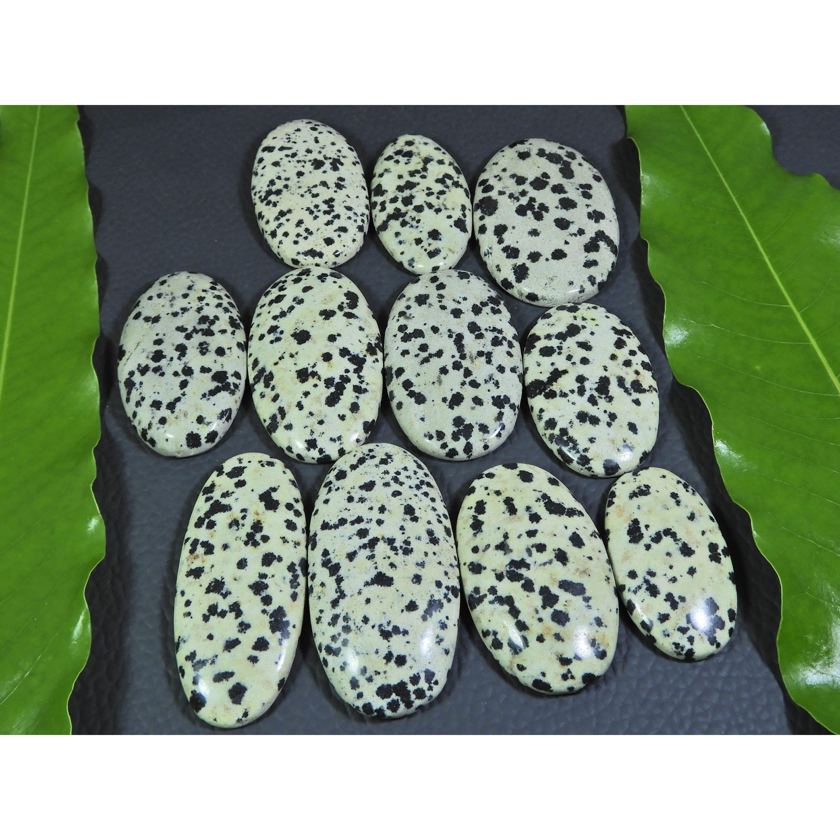 

410Cts. Natural Dalmation Jasper Oval Cabochon Loose Gemstone 11 Pcs Lot A-385