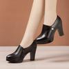 Size 32-43 Women's High Heels Shoes Genuine Leather Platform Black Work Shoes Woman Pointed Thick Heel Deep Mouth Casual Pump