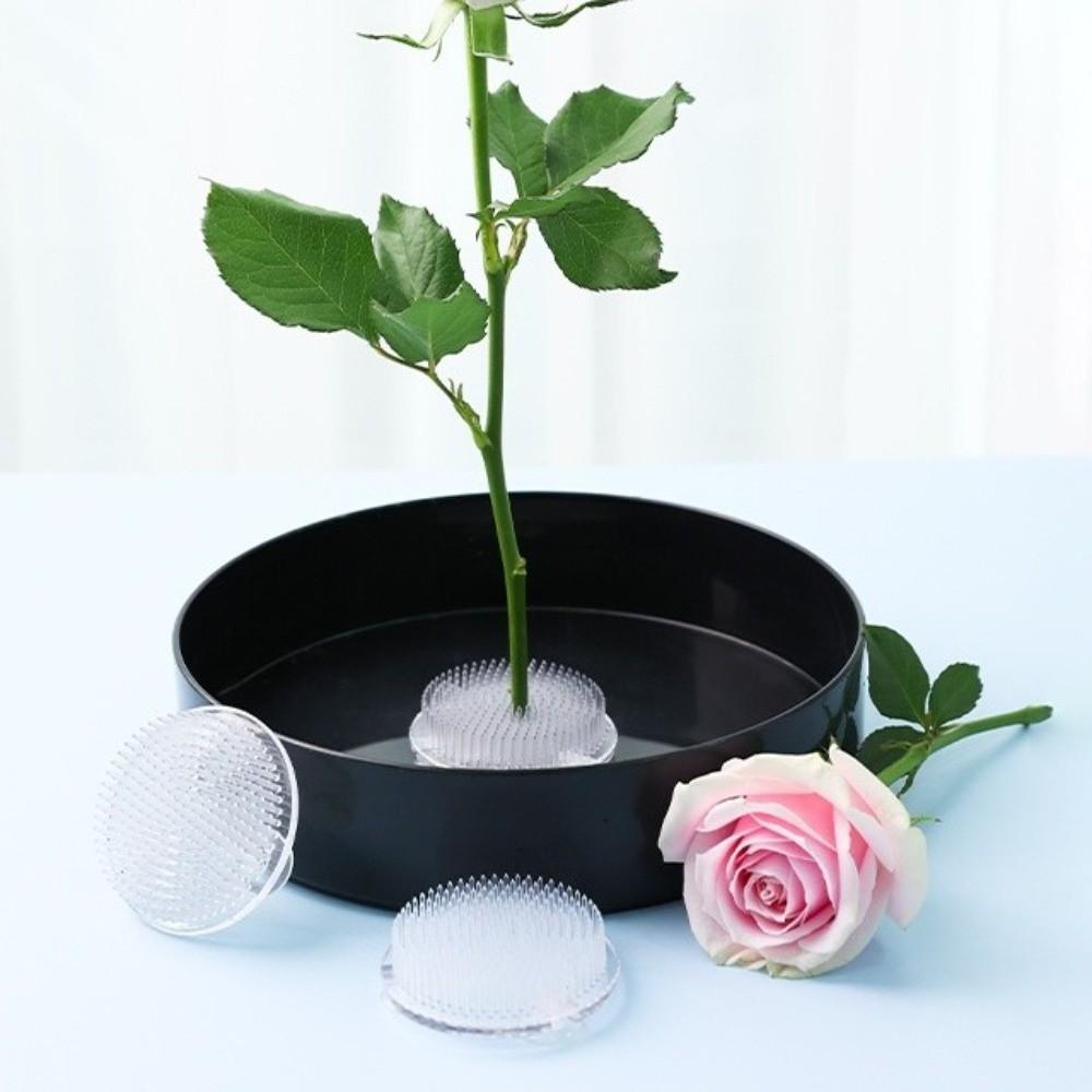 Round Flower Arranger Rectangle Pin Frog Holder Creative Fixed Arranging Tool Flower Arranging