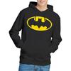 Batman Unisex Adult Logo Hoodie
