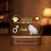 Personalized Pet Portrait Acrylic Night Light Custom Pet Photo Name Chic Home Bedroom Decor Precious Household Keepsake Ornament