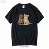 Cute Kittens T Shirt Cat Lover Kitties All Sizes New Vintage Breathable Slightly Fashion Streetwear Stretched Homme