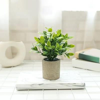 Birthday Gifts Artificial Green Plants Indoor Decorative Plants