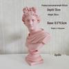 Nordic Resin Bust: David, Venus, Apollo Colored Statue Ornament