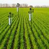 1.4m Plastic Weather Station Kit Thermometer Rain Gauge Wind Vane