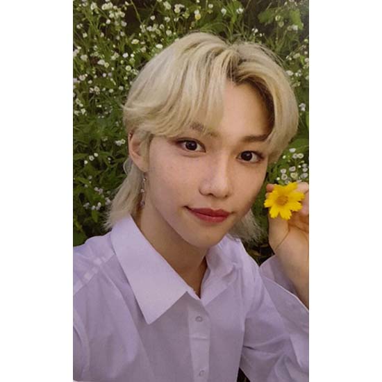 

Официальный адрес Stray Kids Noeasy Limited PHOTOCARD_FELIX