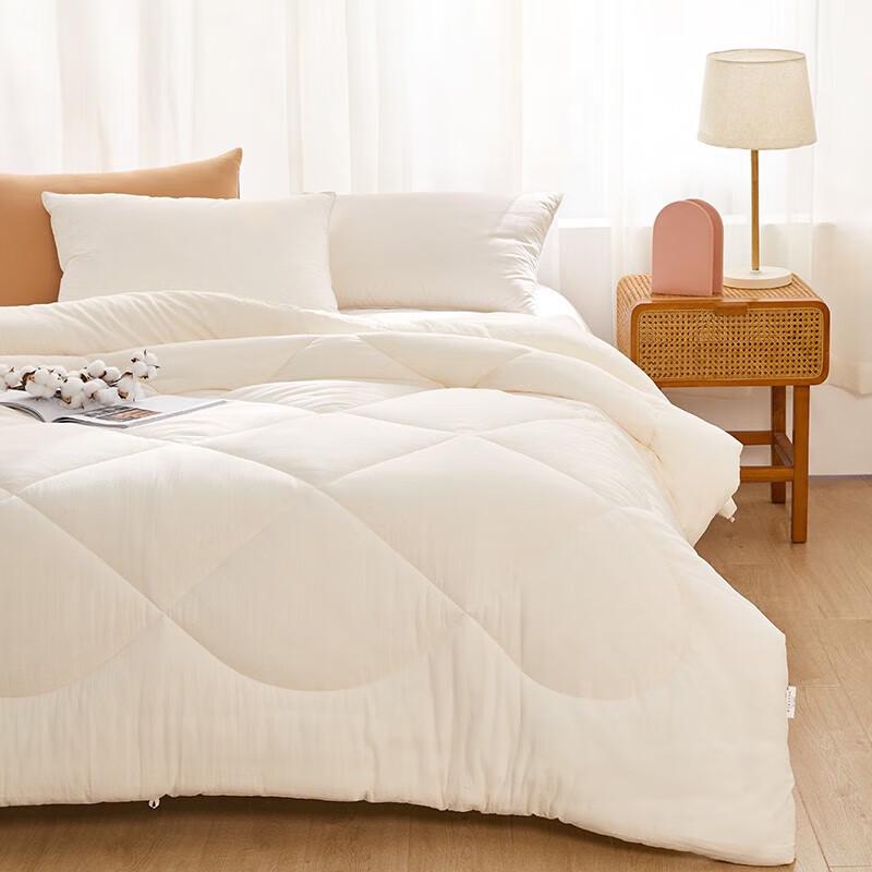 Boyang Soybean Fiber Winter Quilt