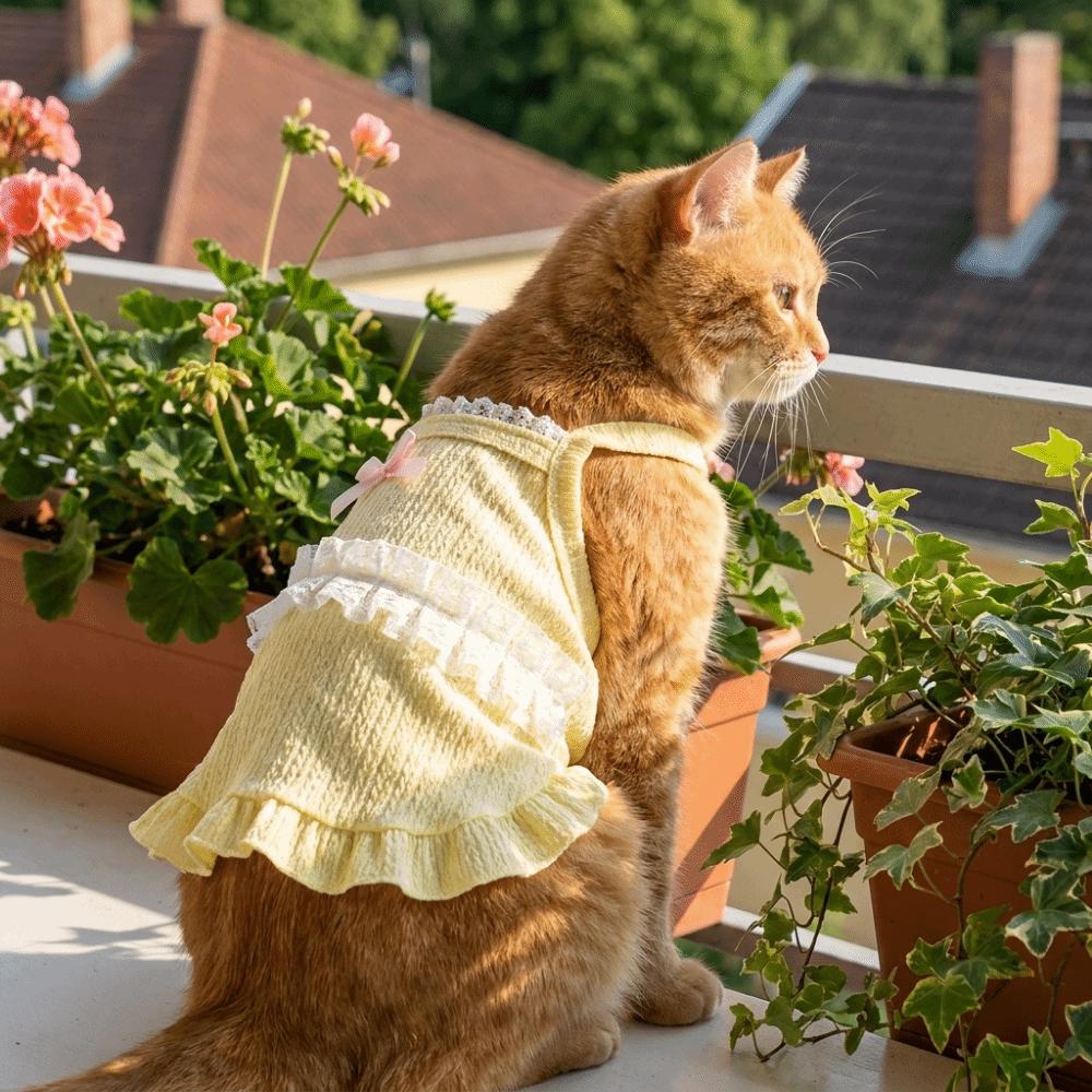 Fashion Breathable Pet Tank Top Floral Lace Princess Style Dog Vest Lightweight Sleeveless Puppy Sling Skirt Outdoor Walk