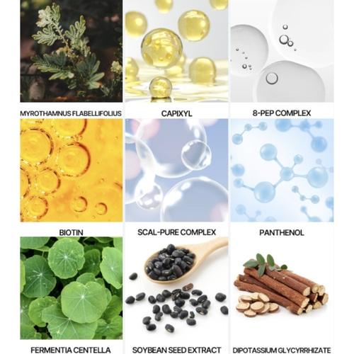 HOLIKA HOLIKA Lash Correcting Care Set 01 Essential Serm+02 Black Serum