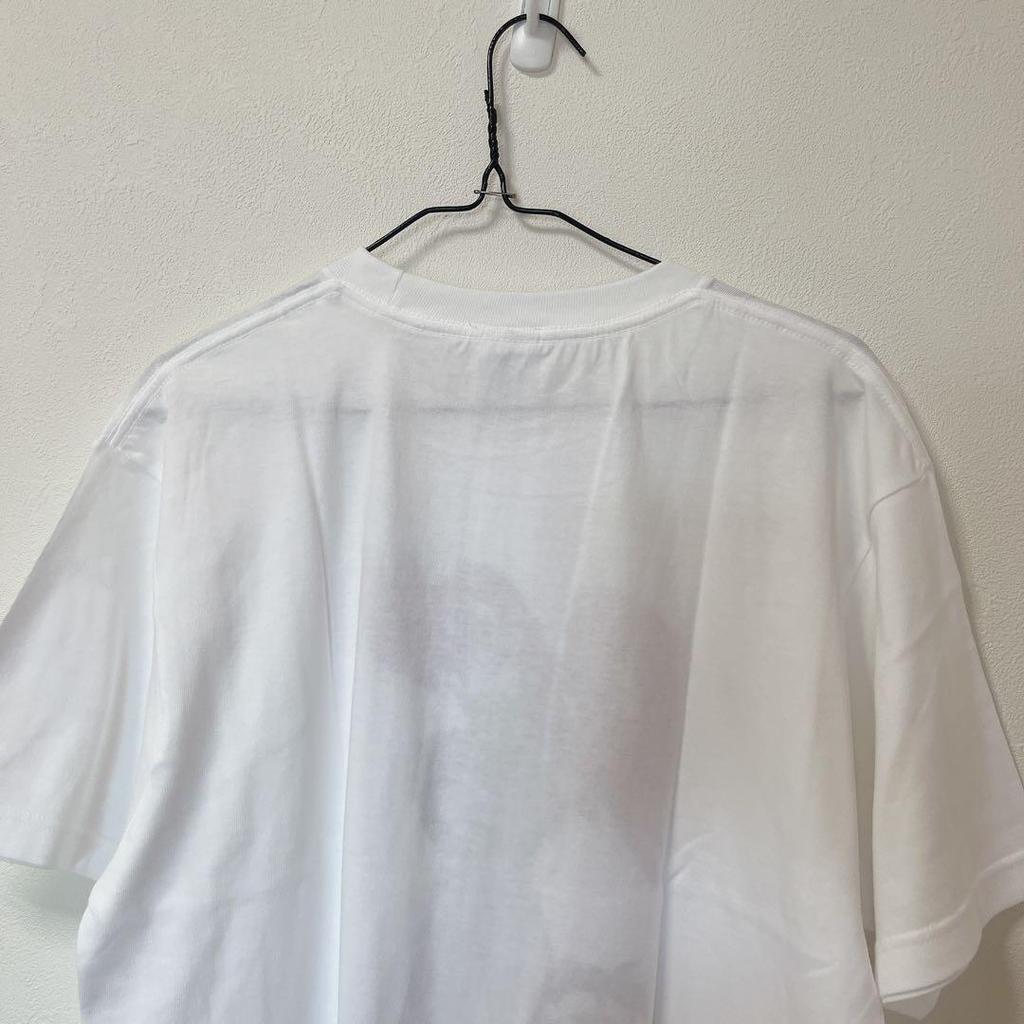 [USED] DRAGON BALL Z T-shirt [L] Piccolo Gohan Anime Tee