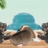 For Creative Baby Pet Soft Silicone Household Kitten Nipple Feeder Rabbits Feeder Puppy Milk Bottle Cat Milk Feeder
