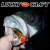 LUCKY CRAFT SW Surface Wonder 120 Fishing Lure Topwater Saltwater Fishing White (W007 Snake)