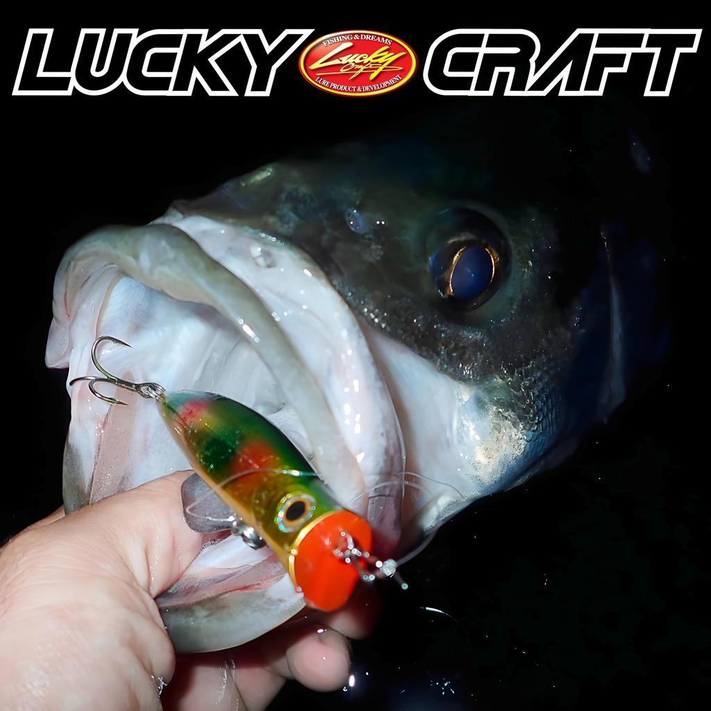 LUCKY CRAFT SW Surface Wonder 120 Fishing Lure Topwater Saltwater Fishing White (W007 Snake)