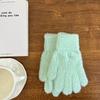 Windproof Touchscreen Gloves Cold Proof Cycling Gloves New Five Fingers Gloves  Women