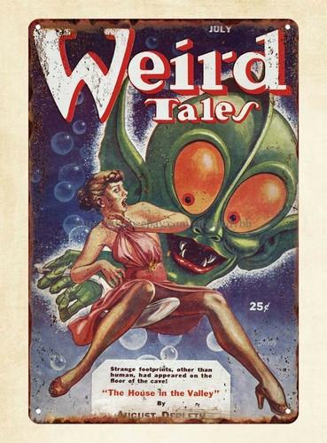 

metal art Weird Tales magazine cover House in Valley metal tin signAluminum 20x30cm（7.8x11.8inch）