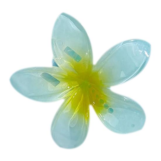 Letní dráp Přechod Barva Květ Tvar Spona do vlasů Protiskluzové Zuby Pevné sevření Zadní Spona do vlasů Každodenní nošení