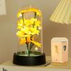 Valentine's Gold Folie Rose Glass Nattlys - Evig blomst Kreativ Ornament Bursdagsgave