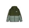 Puma Winter Jacket 675389