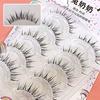 Mogugu - Natural Wispy False Eyelashes