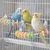 Bite Resistant Parrot Perch Toy Wear Resistant Beak Grinding Rack  Cage Accessories