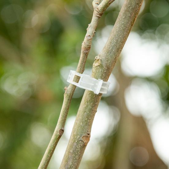 100 de bucăți cleme de susținere a plantelor, care economisesc forța de muncă, cleme de fixare agățate din plastic de lungă durată pentru casă