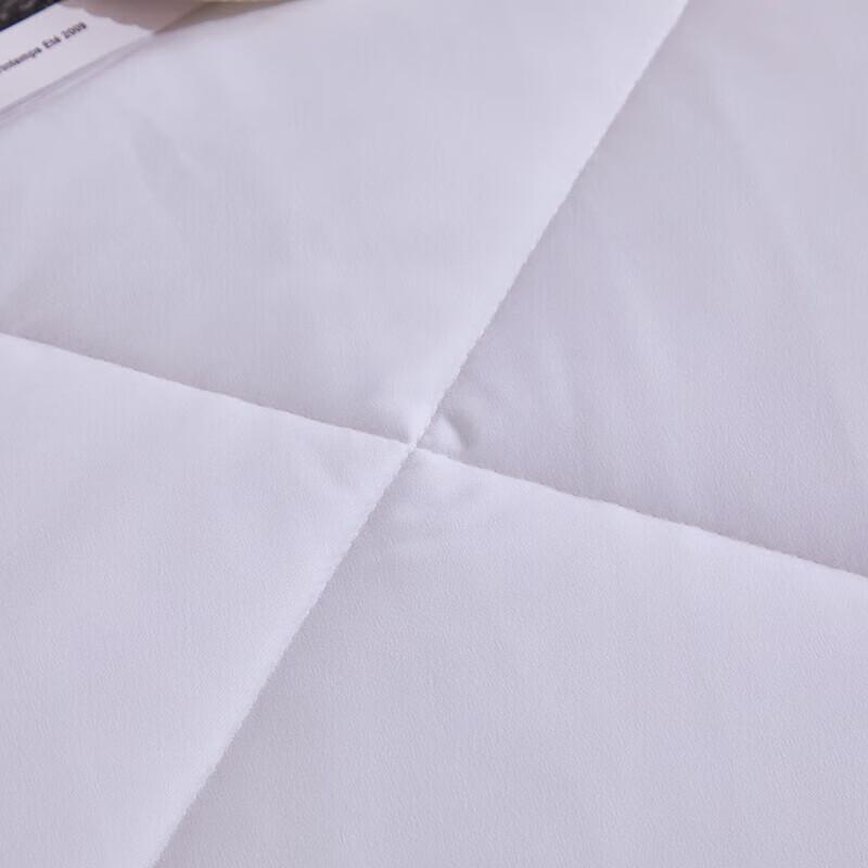 Plover All-Season Polyester Fiber Quilt