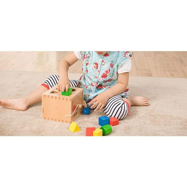 Todoribro Wooden Teaching Aids Shape Block Box WOODENTOY-A Korean Childrens Toys