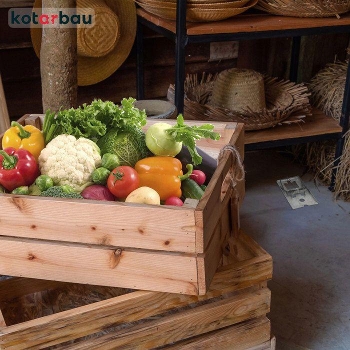 Lot von 3 Rattenstücken – 170 x 90 mm mit einer großen Frappe-Kraft für große Zangen – Kotarbau