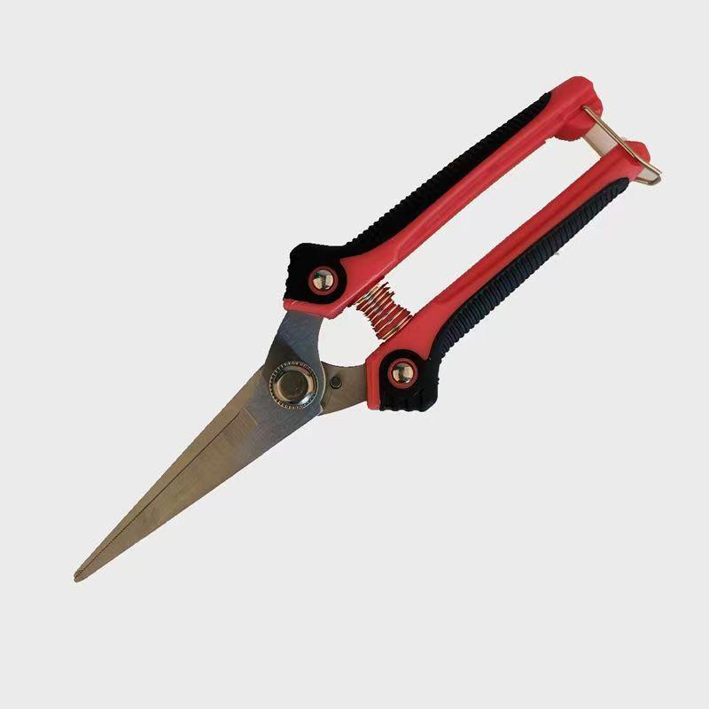 Stainless Steel Pruning and Fruit Picking Shears 0.3mm, 108g Bulk Pack красный