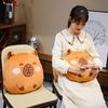 Dual-Use Capybara Hugging Pillow & Blanket - Office Nap, Car AC, or Lunch Break Backrest