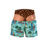 Men's Funny Print Elastic Waist Swim Trunks Beach Shorts for Pool and Beach