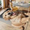 1pc Golden Retriever, Puppy, Happy Office Carpet Soft Polyester Entrance Carpet Washable Non slip Ma