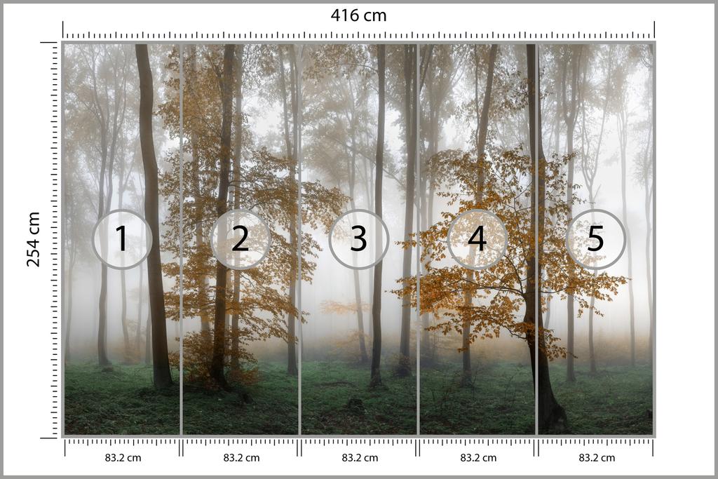 Photomural Forest In Fog Smooth Vinyl 416x254