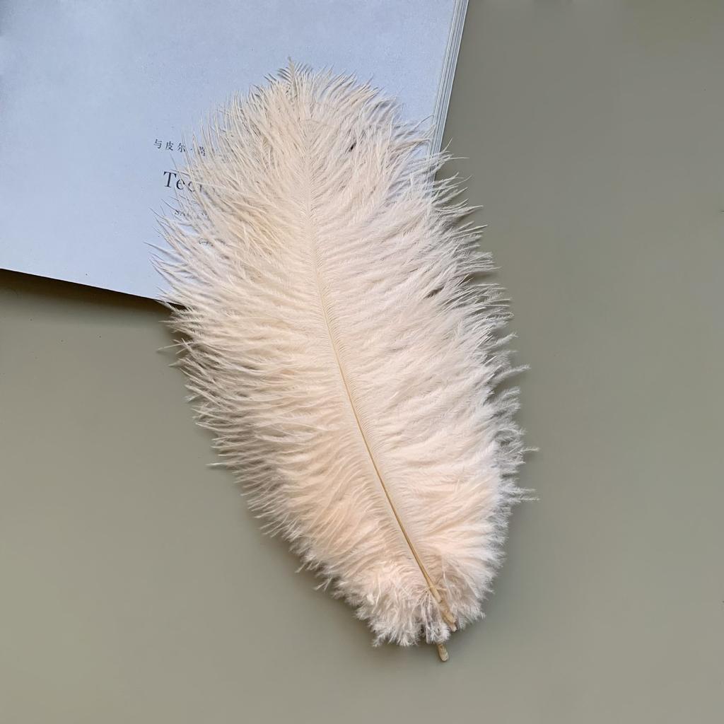 Source Thin Rod Ostrich Hair 20-25Cm High Quality Feather Diy Stage Clothing Accessories Flower Arrangement Material