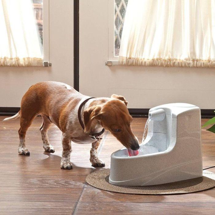 Fontaine à eau pour chiens et chats drinkwell mini 1,2l - petsafe - gris - plastique - extérieur