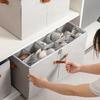 2er-Pack Robuste Schuhbox, 20-Fächer-Design, Transparenter Deckel mit Griff - Faltbare Aufbewahrungsbox, Geeignet für Schränke