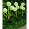 Solar Lights Garden Patio Decorative Lights Lawn Lights Garden Dandelion Small Night Light Landscape Ground Insert Color Light