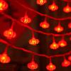 Decorative LED String Lights
