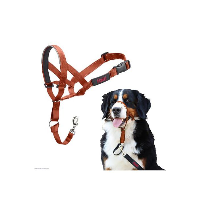 Licol anti-traction pour chien - Halti - Taille 4 - Orange Brûlé - Muserolle rembourrée - Éléments réfléchissants