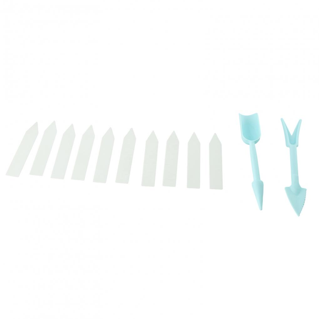 Propagation Nursery Pots Tomatoes Compartments Courtyard Farm