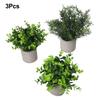 Home Decoration Green Home Decoration Pet Friendly Artificial Plants Artificial Plants Indoor Decoration Flexible Indoor Use