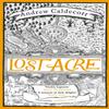 Lost Acre by Andrew Caldecott Paperback Book 9781784298050