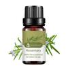 10ML Rosemary Essential Oil Moisturizing Rosemary Single Massage Oil for Beauty
