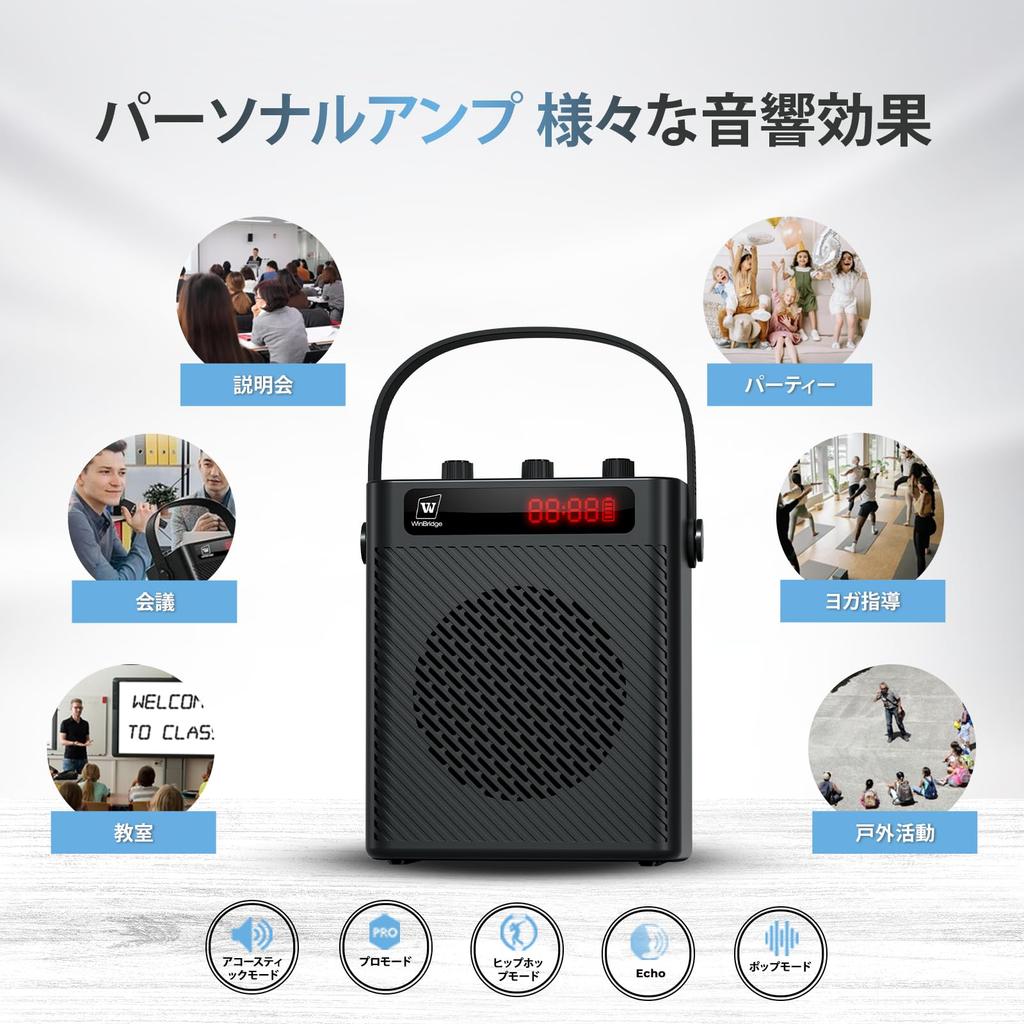 Przenośny system głośnikowy WinBridge S95 z 40W PA i mikrofonem ręcznym dla dwóch jednoczesnych kart muzycznych Idealny na ulicę na zewnątrz małe i spotkania