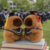 Cartoon Design Graduation Capybara Plush Toy 25 CM Doctor Hat Capybara  Party Decor