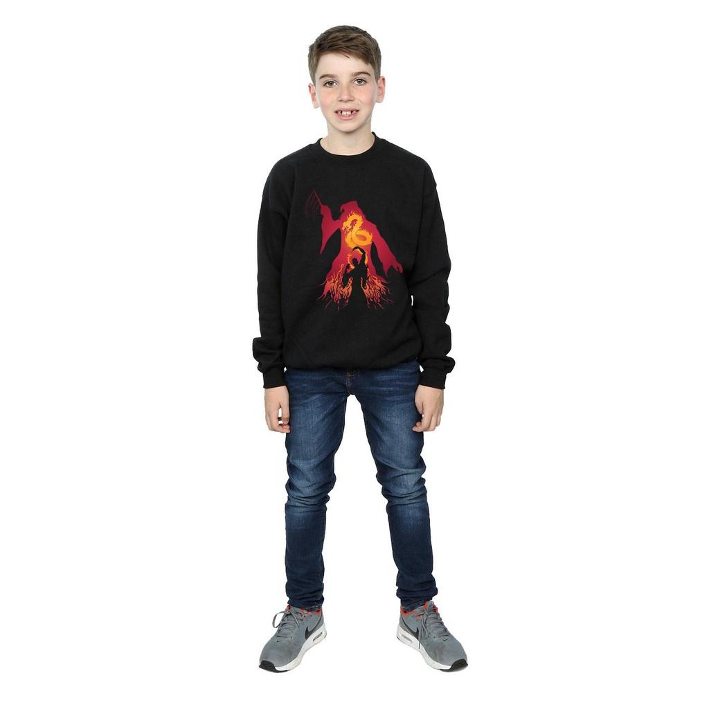 HARRY POTTER Jungen Dumbledore Silhouette Sweatshirt